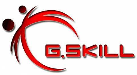 g.skill-logo.jpg